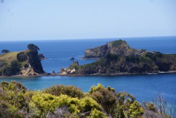 Great Barrier Island