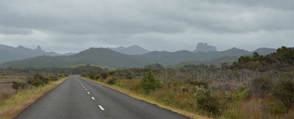 Coromandel skyline