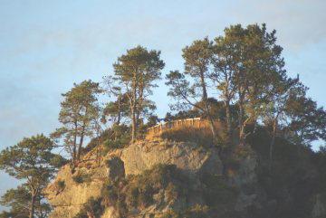 Jones Landing near Puketurua